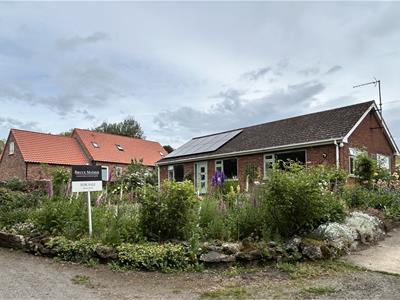 Picture 27
